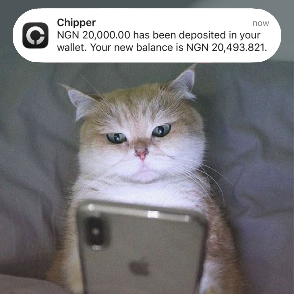 Cat is very pleased with our new crypto-to-bank transfer feature. Available  in Nigeria & Mexico, powered by @AEON_Community