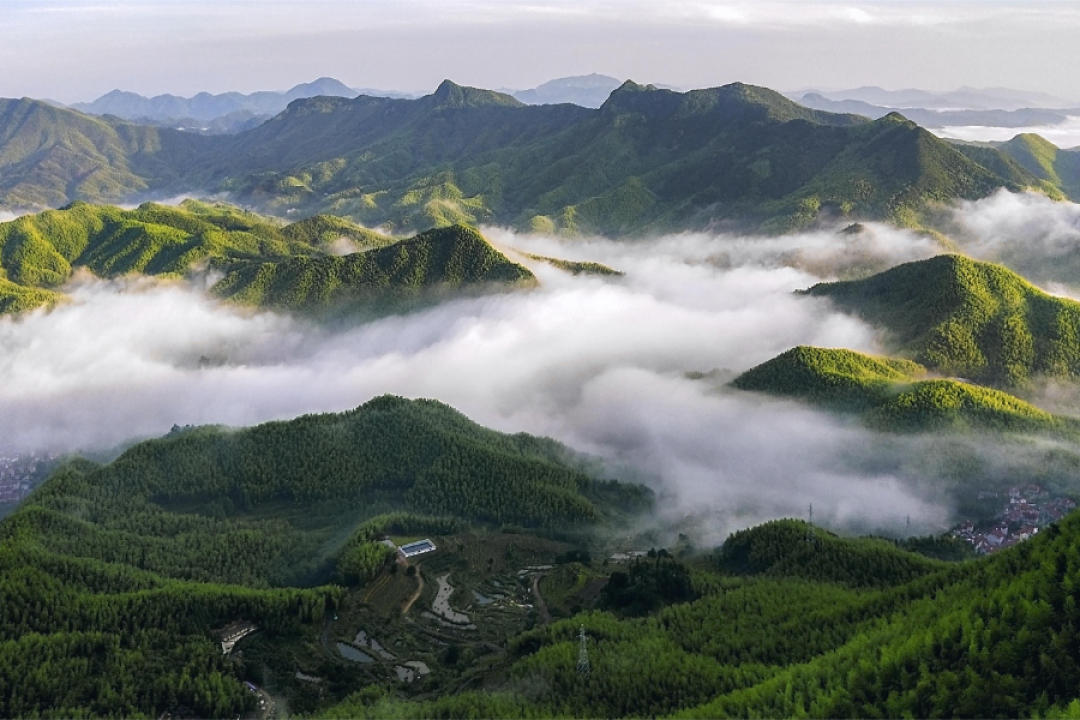 sueshi96612585's tweet image. Anji, China turns bamboo into biodegradable bags! 🎋 This eco-friendly innovation creates bags that decompose in 18 months, supporting China&apos;s &quot;Bamboo Instead of Plastic&quot; initiative for sustainable solutions. #BambooInnovation #GreenTech