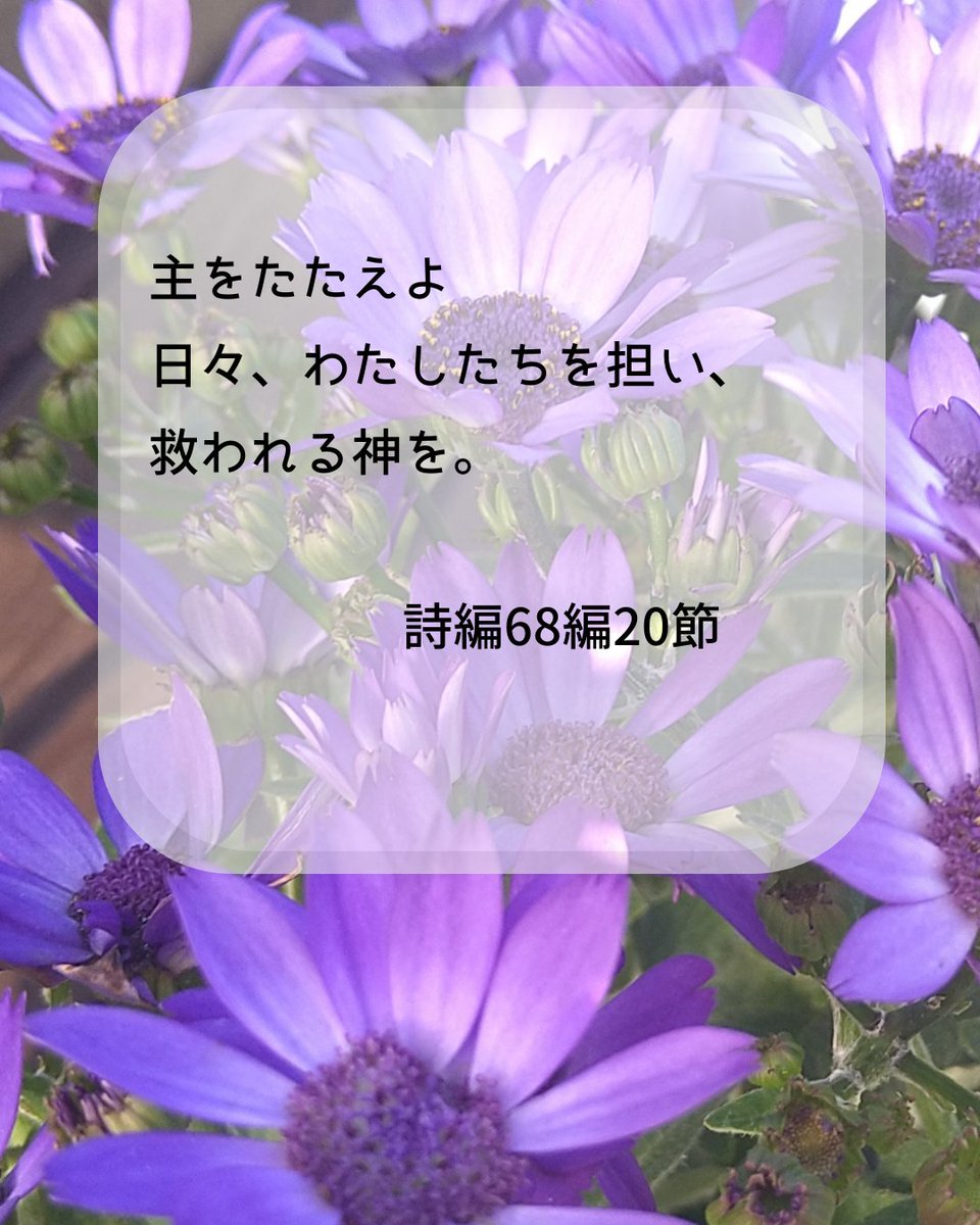 AMC_information's tweet photo. 週のはじめに聖書のことばをお届けします。
今週の撮影場所：ひみつ。

#聖書
#アドベンチストメディカルセンター
#SDA https://t.co/fpiCKGs2mc