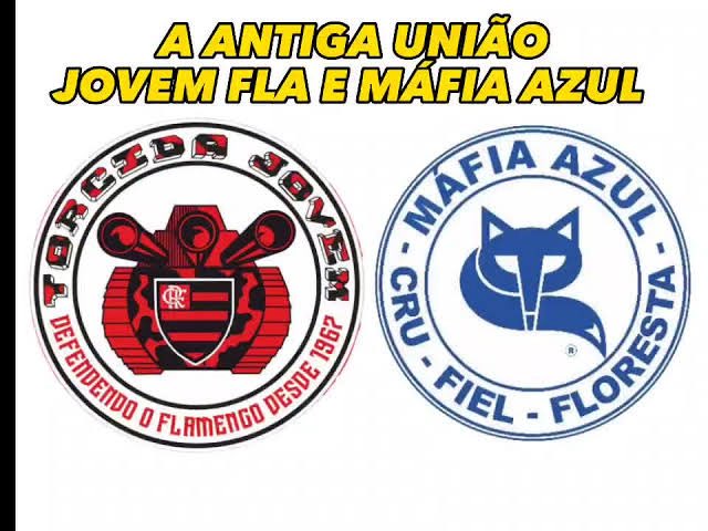 mineirojr22's tweet image. Não coloca @Cruzeiro nessa ir não, vai tomar no cu do @Palmeiras