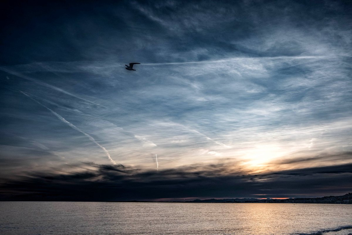 jergaaa's tweet image. Certains voient un ciel noir, 
d'autres un oiseau noir, 
d'autre encore,
quelque chose de plus sombre...

instagram.com/p/DRm6rJYjlXx/…