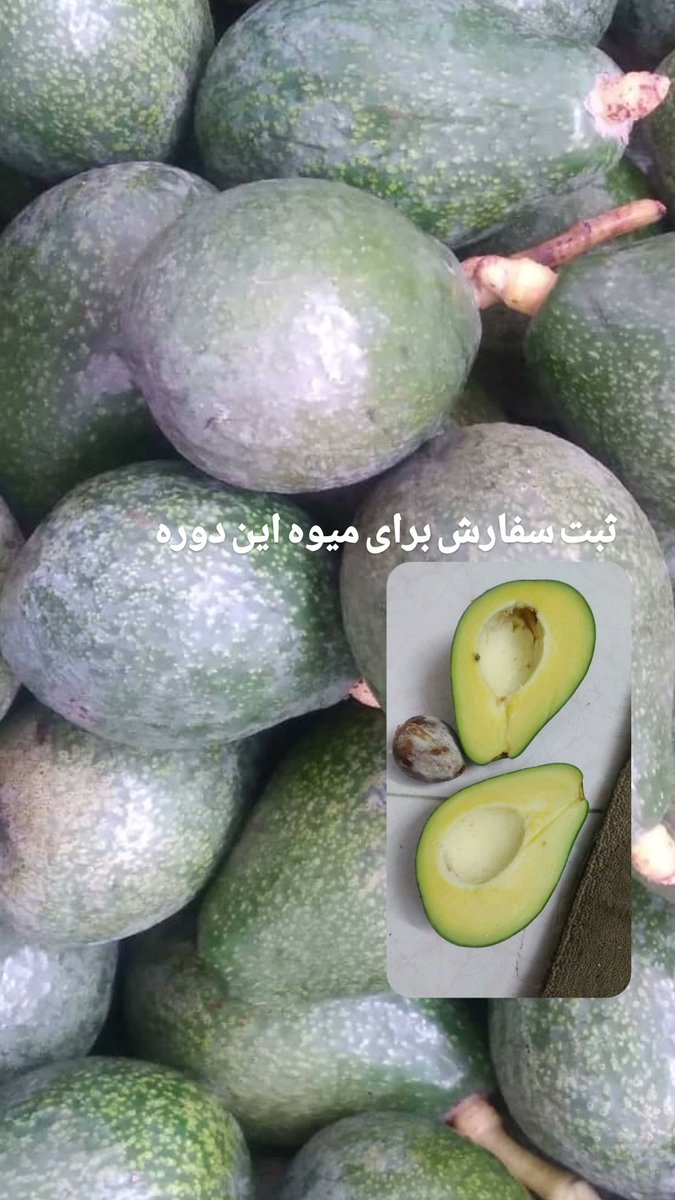 دوست‌های گل و نازنینم🥰ثبت سفارش برای میوه این دوره از درخت آوکادو پذیرفته می‌شود😍
Avocad.ir