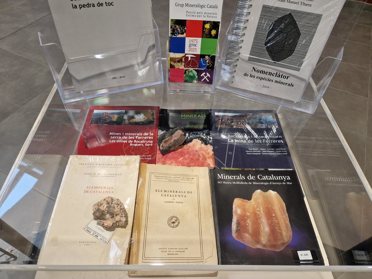 Pau Gatell tweet media