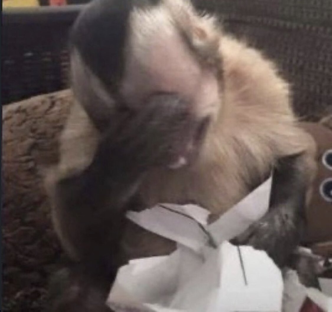 Yo viendo que el examen final solo tiene 1 pregunta que vale el 100%