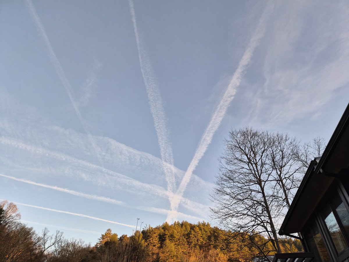 The government is funded again.  Back to treating us like mosquitoes.