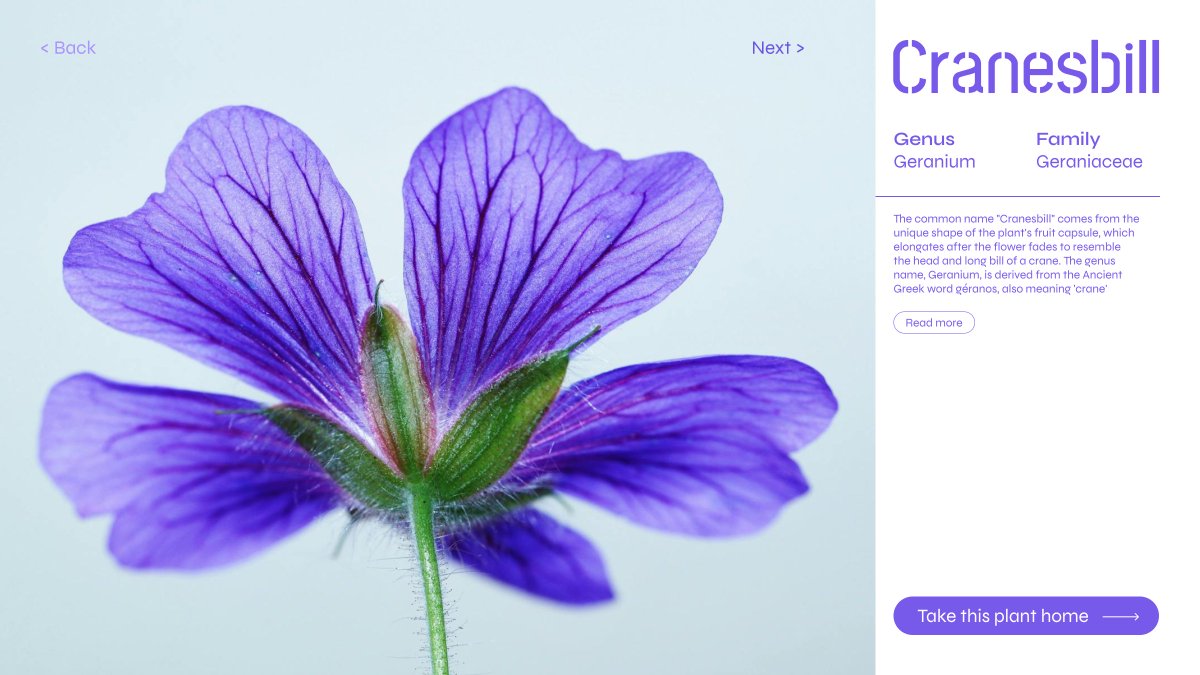 Visual Storytelling Experiments     
-    
a UI for a plant selling website
-    
6/365