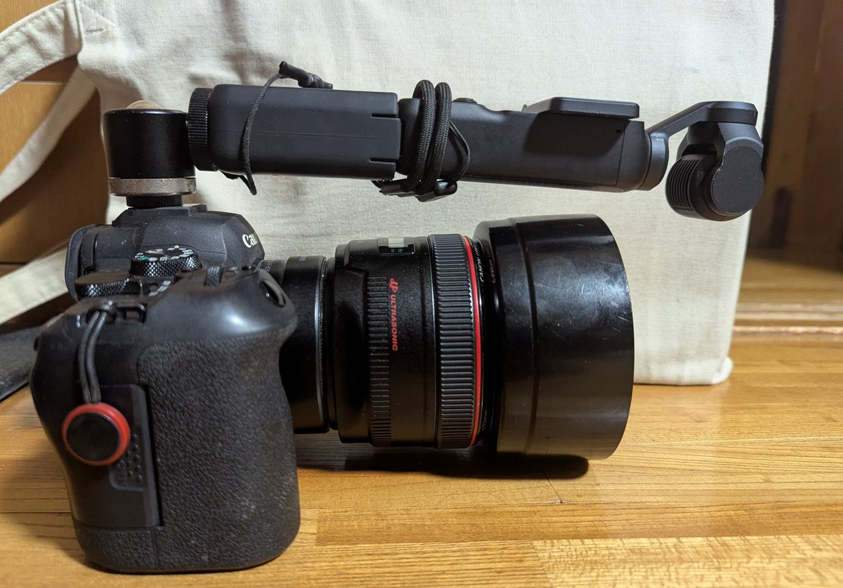 OHL_ch's tweet image. カメラ上のスマホは後ろの人の迷惑だし、ましてや片手カメラ片手スマホは危険（普通に落とすし手ブレする）なので、現状写真と動画を一緒に撮るには&quot;DJI OSMO POCKETをカメラに付ける&quot;がベストチョイスだと思います（高さ3cmぐらいで被写体をトラッキングすれば自動で追いかけてくれる）