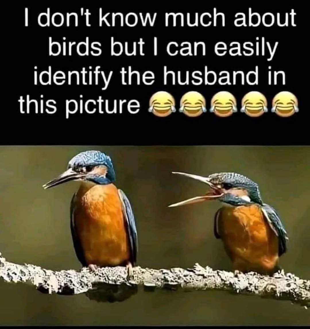 llandoniffirg's tweet image. 🤣🤣🤣🤣🤣🤣🤣🤣🤣🤣