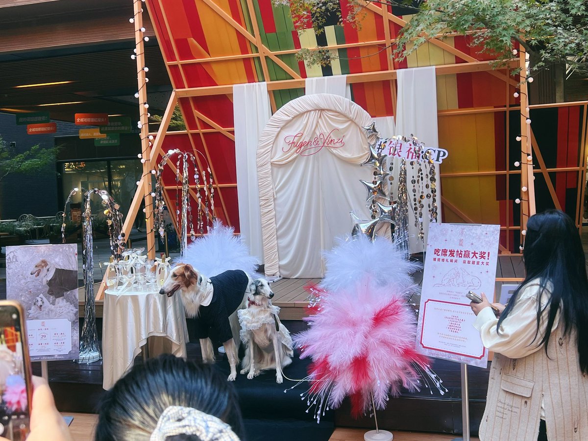chris_pjun's tweet image. Ran into a dog wedding feast while having lunch today! So many furry guests showed up, and they’re all absolutely adorable ☺️