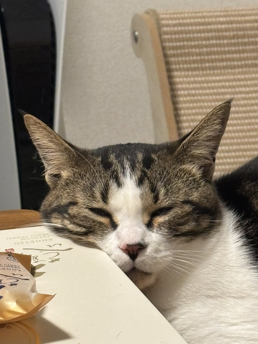 ZsanStars's tweet image. 