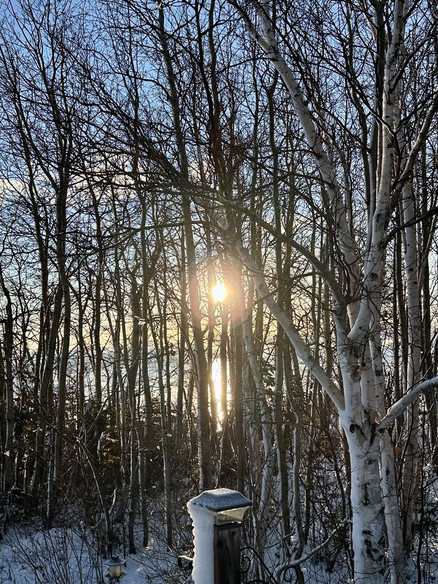 btleparadis's tweet image. Beau Soleil 🥰🥰🥰