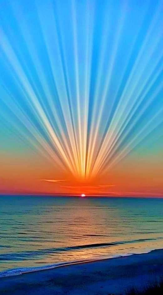 irum_2210's tweet image. SUNSETS..!!!!
are proof that no matter what happens, every day can end beautifully.

Good Evening..!!!!