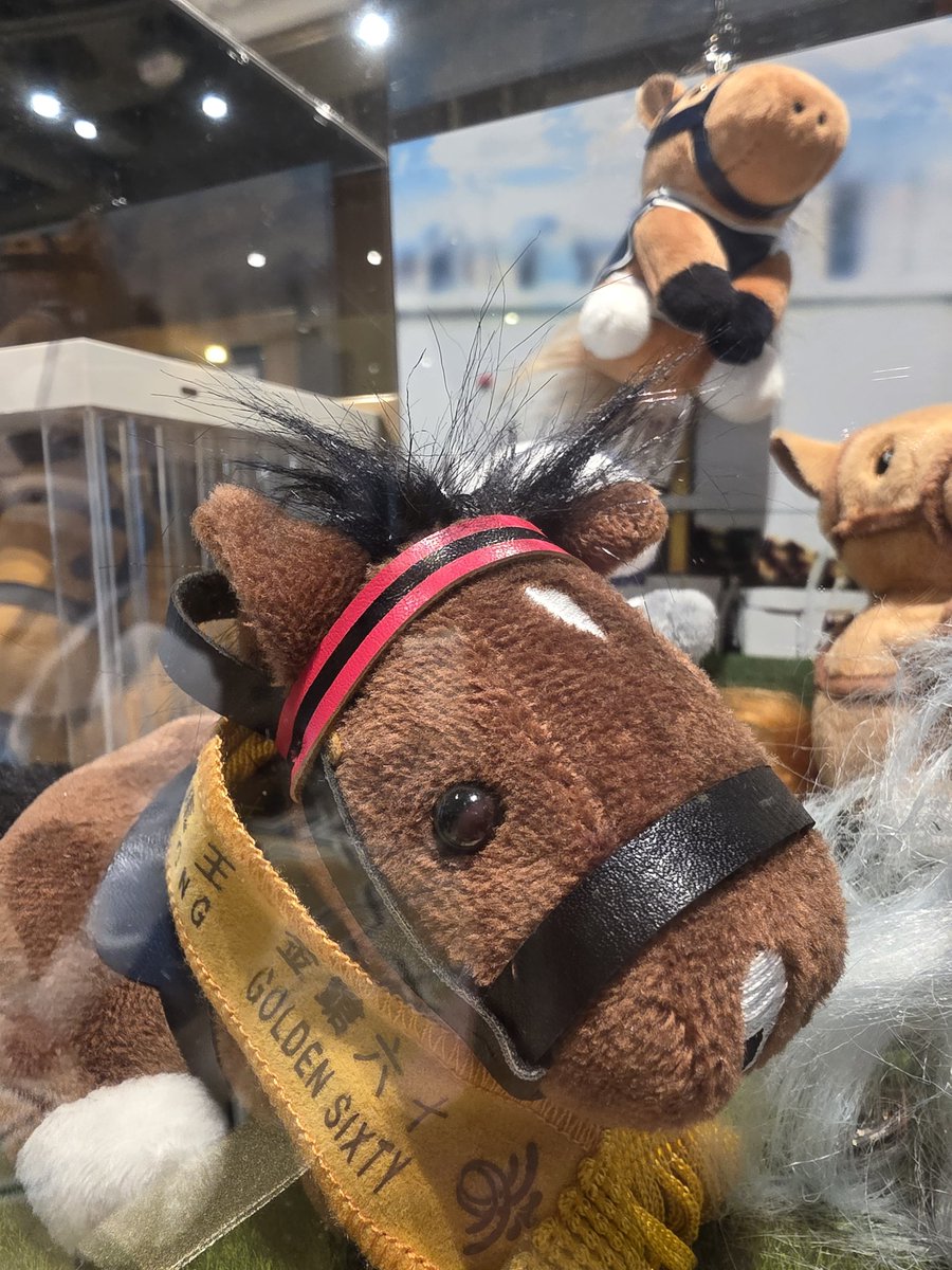 Golden Sixty 🥹🐴🤎