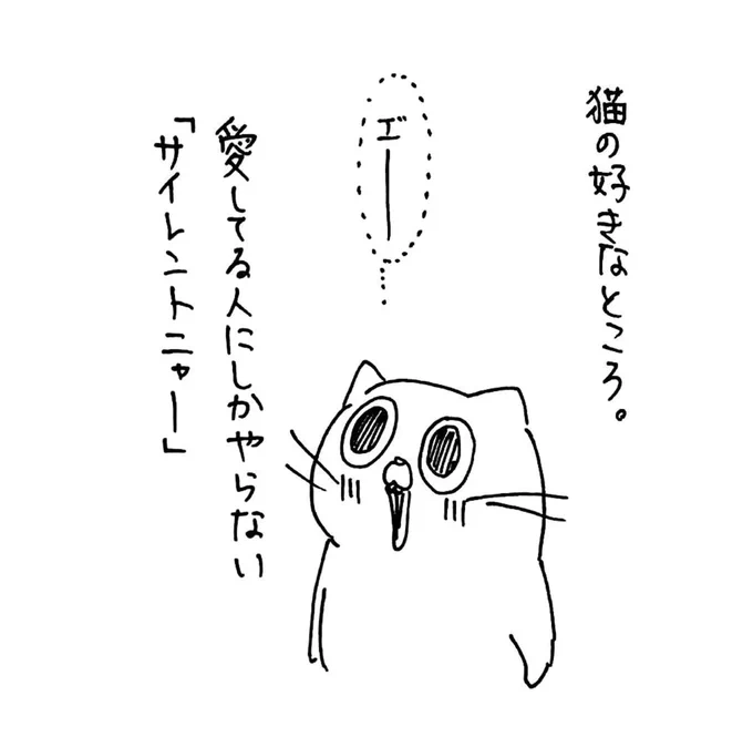 猫の好きなところ 