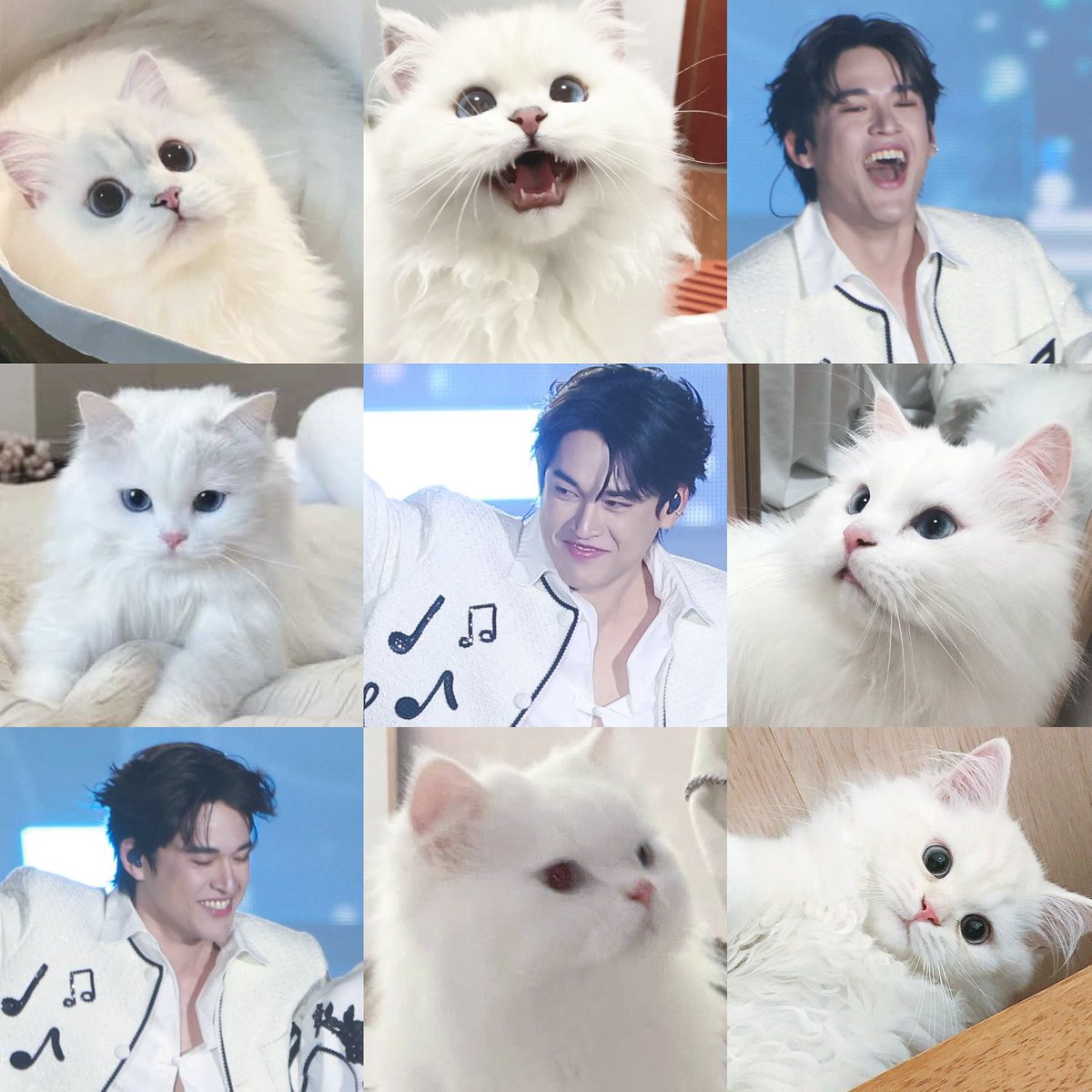 pawberrymelt's tweet image. วันนิเปนแมวขาว white cat 🐱
ᓚ₍⑅^..^₎ #GawinCaskey ♡