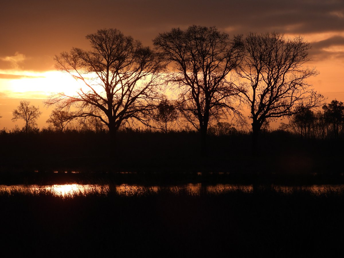 of je in het buitenland bent.....vanmorgen zonsopgang in Wanssum..............
