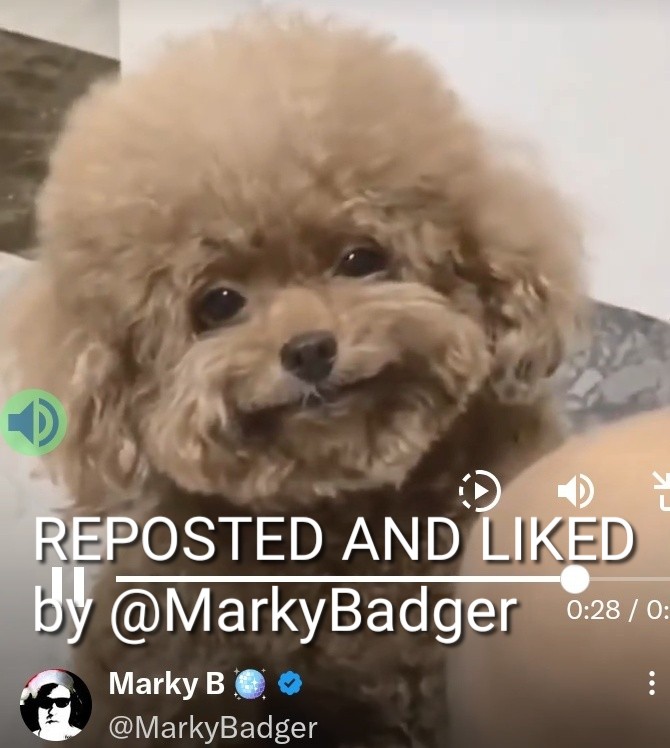 <a href="/Goldstarmom2008/">Goldstarmom ( Jalynn but call me Jay )</a> <a href="/zeppefan1/">zeppefan</a> <a href="/LindaLeeKing/">Linda Lee King</a> <a href="/Olivier926384/">Olivier</a> <a href="/betseyross/">🍊🇺🇸ULTRA MAGA 🇺🇸🍊</a> <a href="/Sc2017W/">SC2017</a> <a href="/deonilce/">Deonilce</a> <a href="/ABITA54906711/">ABITA</a> <a href="/I2funSmile/">Kyle Smile Photogs Love Boats/Rock Climbing Fun</a> <a href="/Tim4Trump61/">🇺🇸T.Parker🇺🇸</a> <a href="/BrunaudOdette/">OBCDEFG@OBCDEFG🇨🇵⚘🍀🌿🇨🇵</a> <a href="/Chloesmama5/">Chloe's mama</a> <a href="/armagedom62/">Cidadão Brasileiro/Americano</a> <a href="/shelli18880432/">DespicableDeplorableConservative</a> <a href="/JOSSANT30557087/">JOSÉ SANTOS</a> <a href="/DoraDallas6/">DORA 🌷</a> <a href="/magee333/">Laura</a> <a href="/Elyane180637300/">Elyane</a> <a href="/claudiomoraisvg/">Amigos por um mundo melhor antiglobalismo</a> Very good 😀 
Congratulations dear Jay 🌹 
Happy weekend friends 🙏