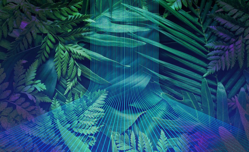 trellisgroup_'s tweet image. At #COP30, governments are building on years of corporate climate momentum — turning voluntary action into policy-driven change: buff.ly/3rd9f39 
#ClimateAction #NetZero