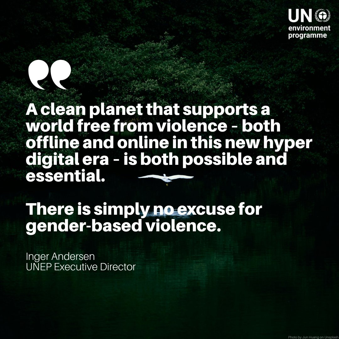 UNEP's tweet photo. A healthy planet must also be a safe one.

This #16Days, UNEP is calling for stronger investments to prevent violence against women &amp; girls — offline and online.

Executive Director @andersen_inger reminds us: There is simply #NoExcuse for gender-based violence. https://t.co/J02PWkkCdk