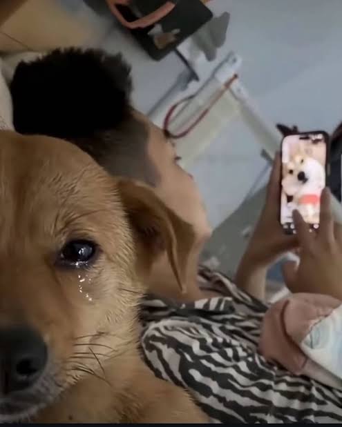 이거백현이ㅋㅋㅋㅋㅋㅋㅋ

x.com/B_hundred_Hyun…