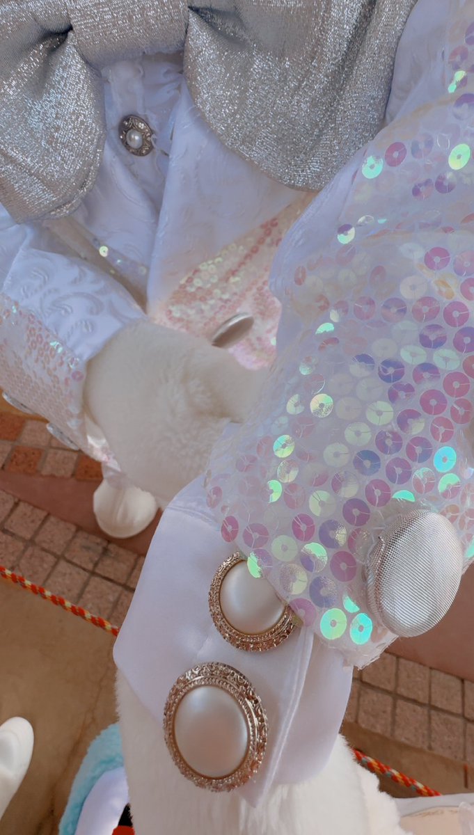 ぴょん (@pyonpyonribbon) / Posts / X