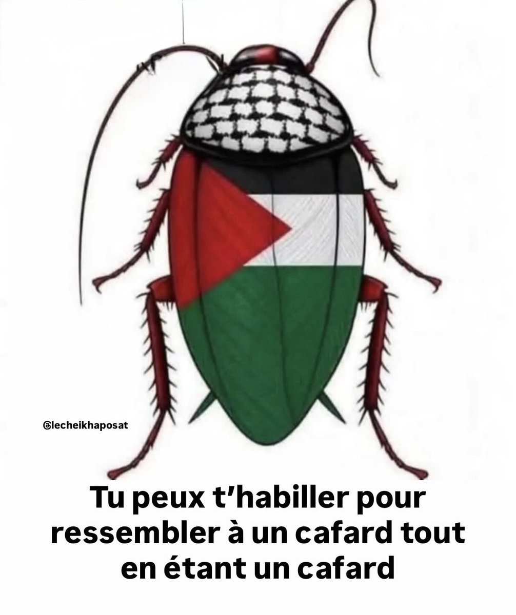 Le mouvement pro Palestine