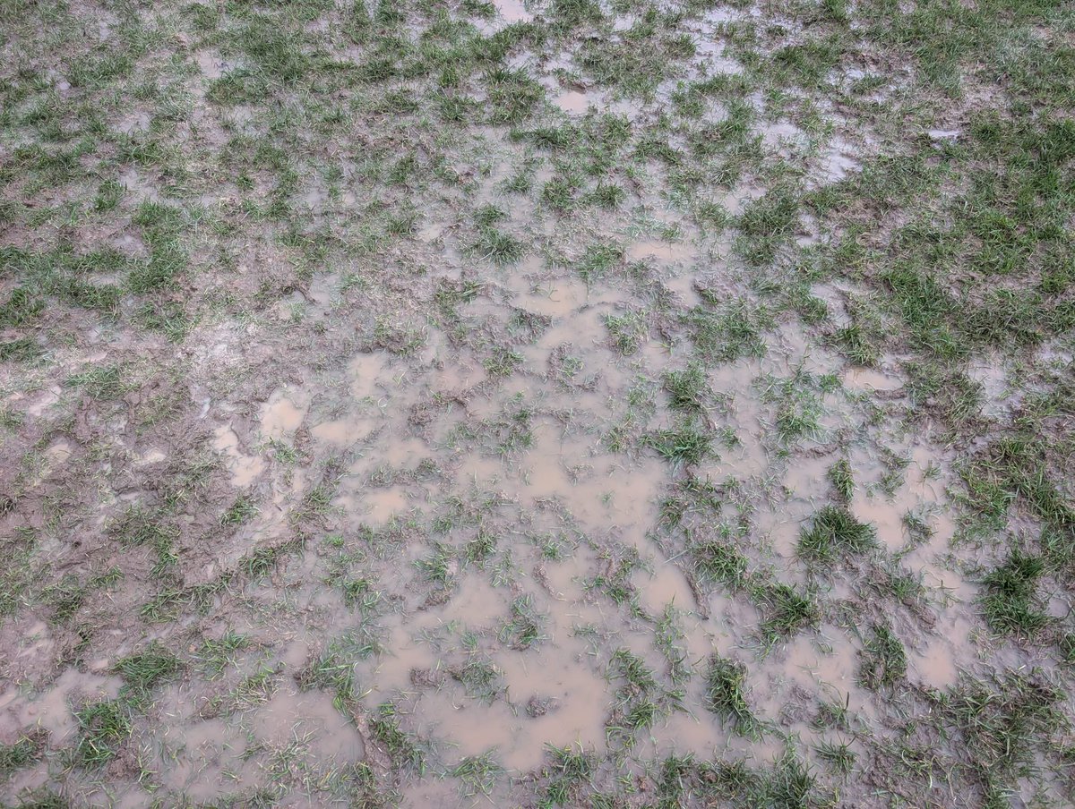 CheneyFC's tweet image. So our U14’s Girls were made to travel to @SummertownL Ladies Owls this morning only for the game to last 5 minutes due to a waterlogged pitch. 

Why do coaches &amp;amp; clubs keep doing this 🤷‍♂️

What a waste of time and cost this morning has been for our U14 Girls &amp;amp; parents.

@OMGFL