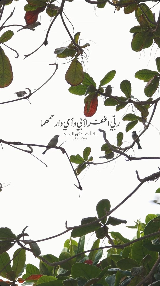 🤍🍃

`

ربي اغفر لأبي وأمي وارحمهما
إنك أنت الغفور الرحيم . . .