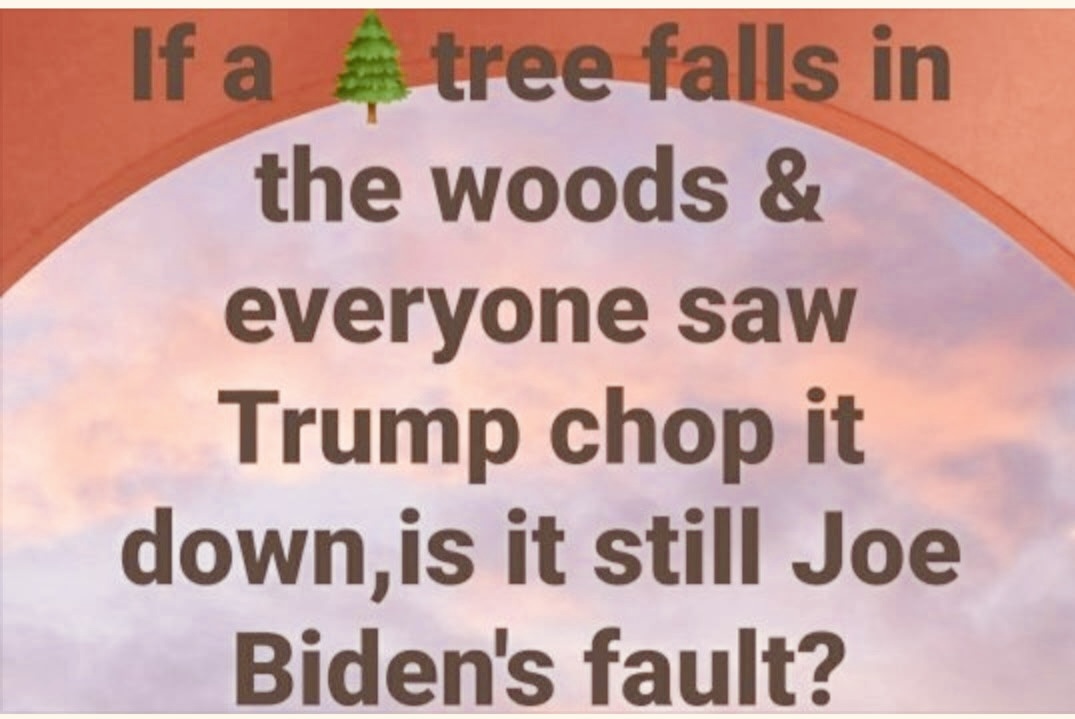 MediaBusters6's tweet image. No one scapegoats better than Trump, GOP &amp;amp; MAGA Morons 
Save this meme to post every time they fail US 
They never take responsibility or accept blame for how they have fucked everyone over
It&apos;s always #BlameBiden