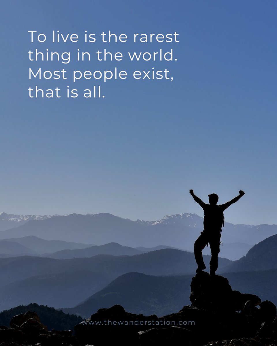 The Wander Station tweet media