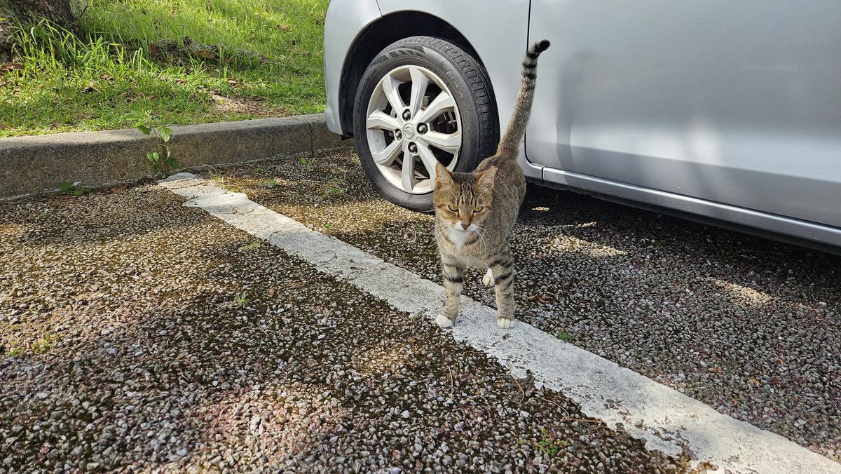 かっちゃん、 (@katchan0809) / Posts / X