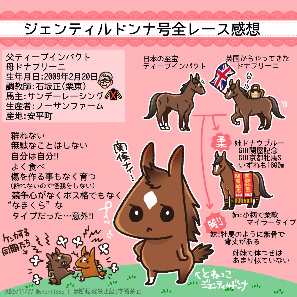 2011年11月19日メイクデビュー京都 競馬を見始めたのが2013年から