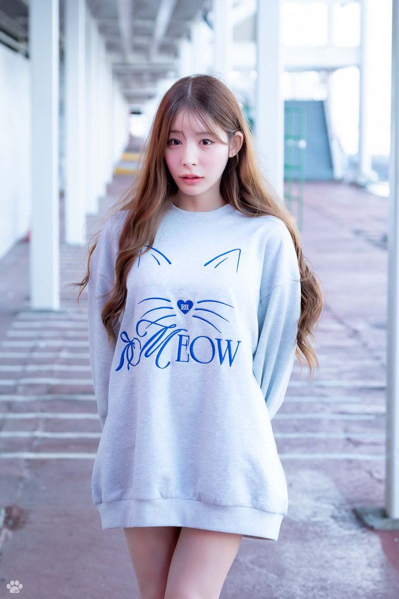 ginwasa(ぎんちゃん)🥟🧸🌸🦋🐱🦈🍧 (@5151ginwasa) / Posts / X