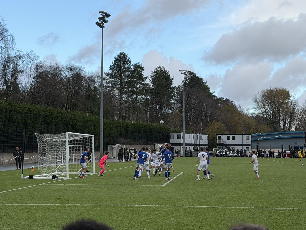 Dan Brown tweet media