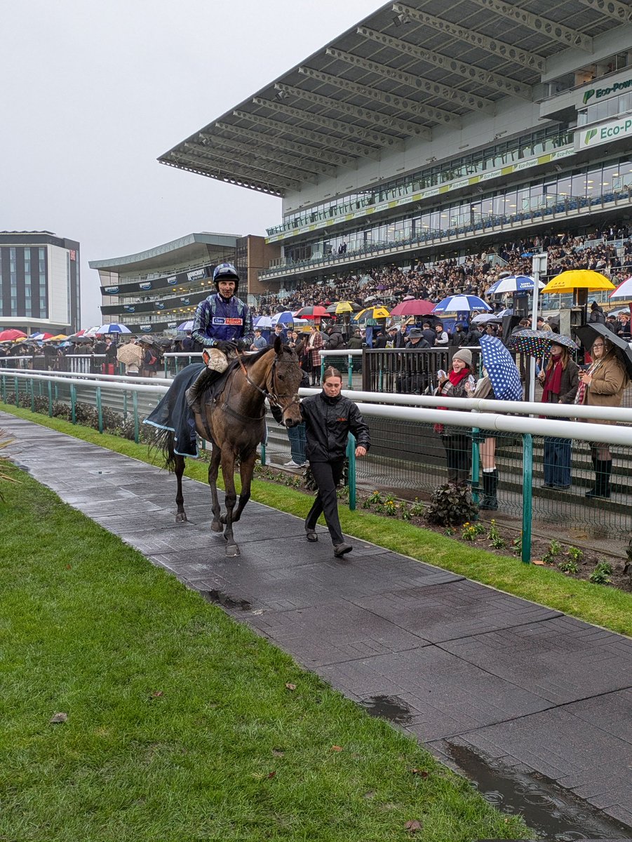 Steve Mullington tweet media