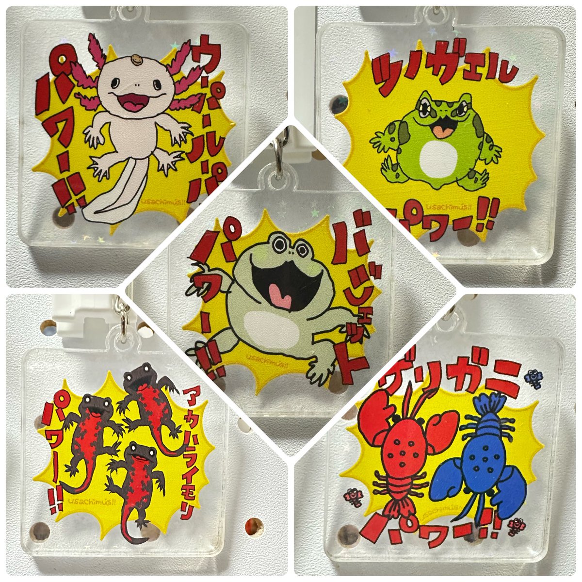 usachimus@12/7ロコズマーケット🦎🌟 (@usachimus) / Posts / X