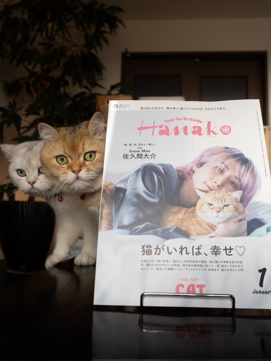 MARCO 🟡写真集「メイ先輩」🟡 (@marco74444) / Posts / X