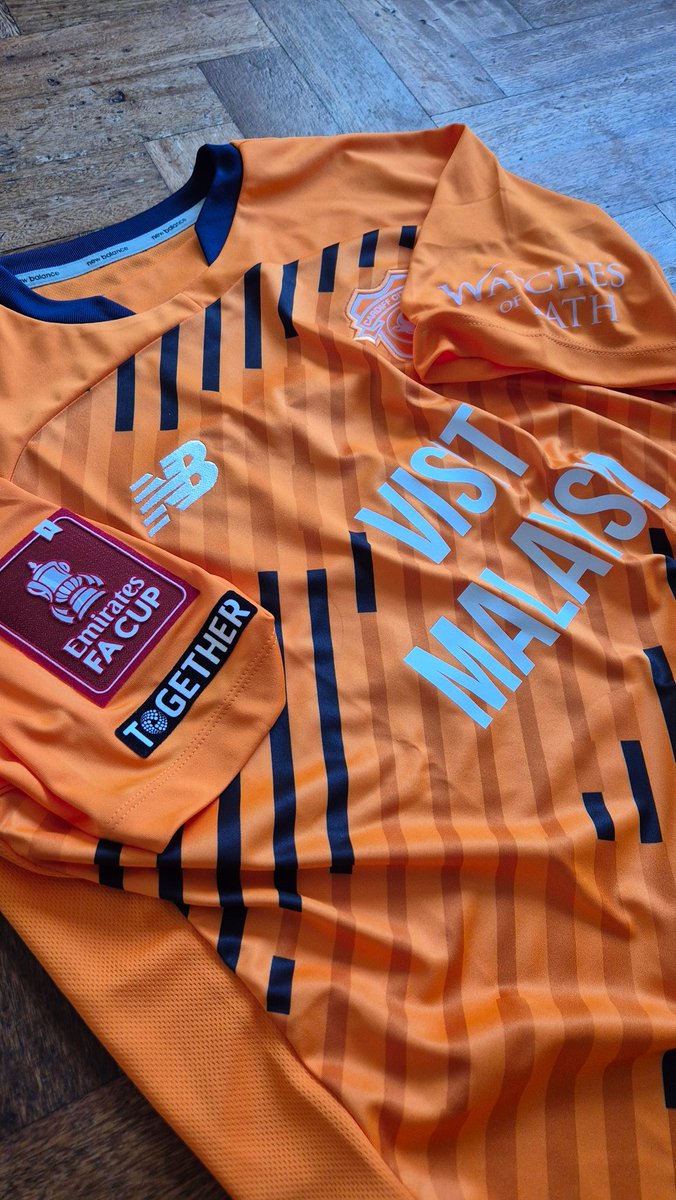 Cardiff City Match Worn Shirts tweet media