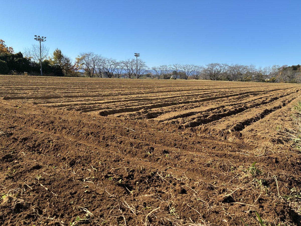 Barley sowing day—just a bit late 🌱
From handwork at Gonbei to full gear 🚜
Usually a “sunny guy,” but now praying for rain ☂️

#coedo #farmtograss #craftbeer #saitama #japan #craftbeer