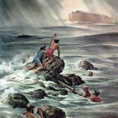 علي السنيدار tweet media