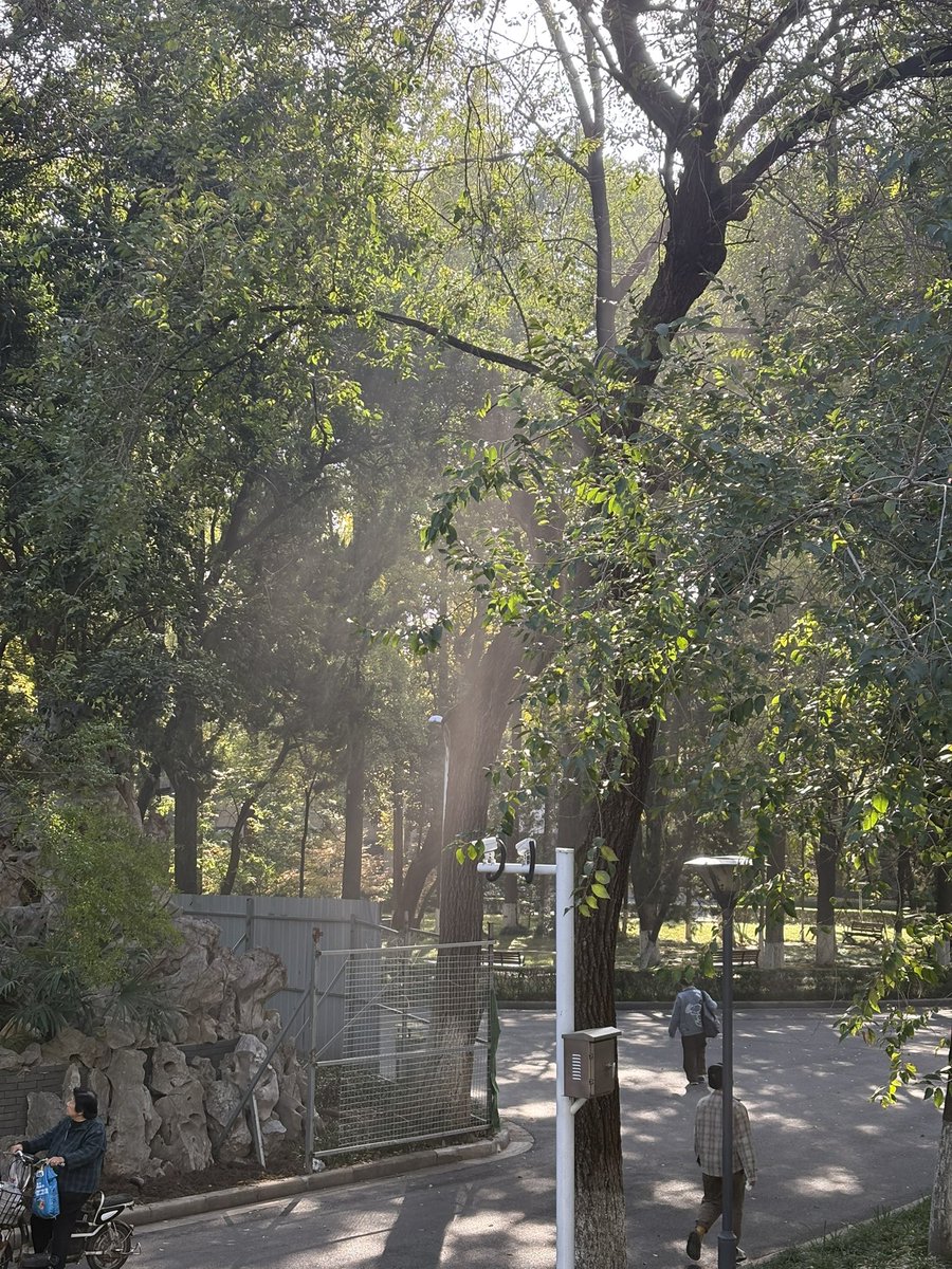 ConicCurve tweet media