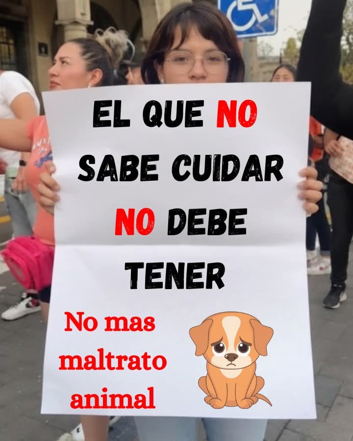 GRamirezF_D12's tweet image. #NoAlMaltratoAnimal