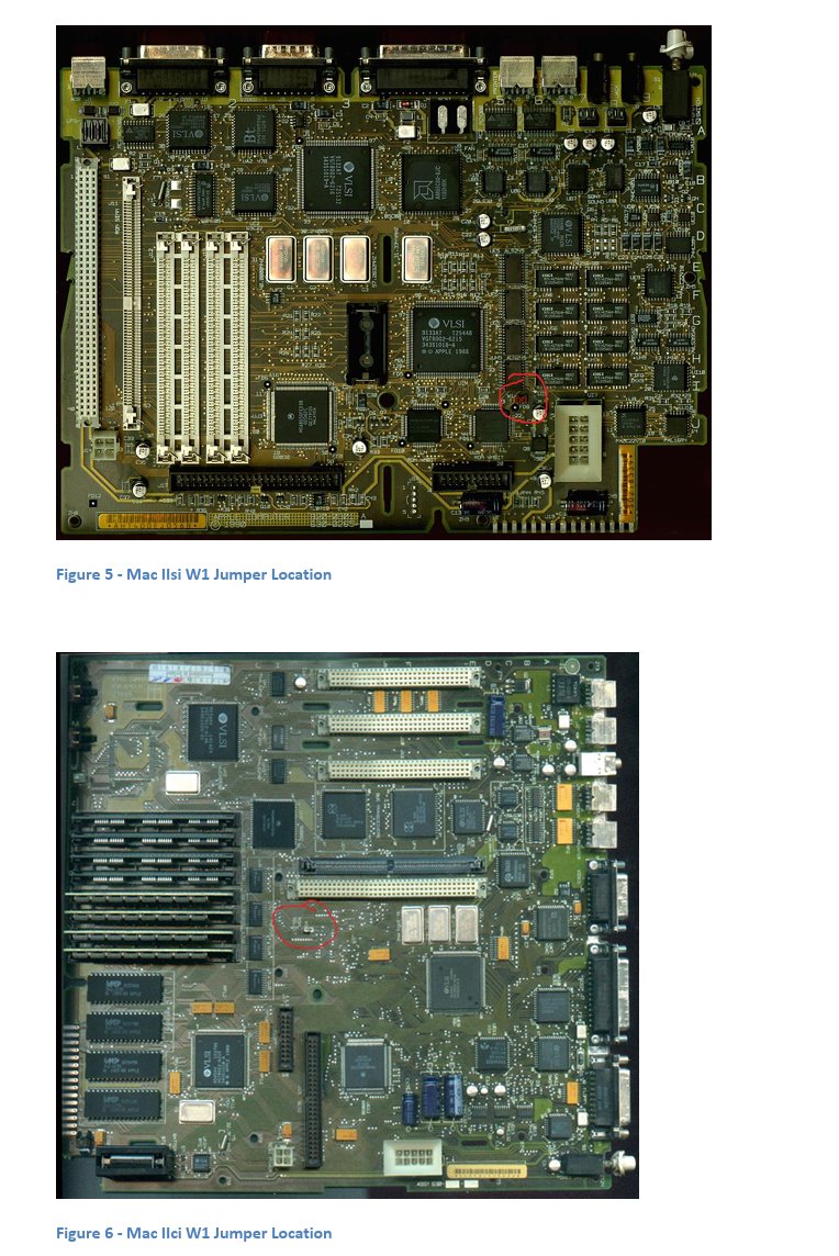 earlgrey (@konekodensetsu) / Posts / X