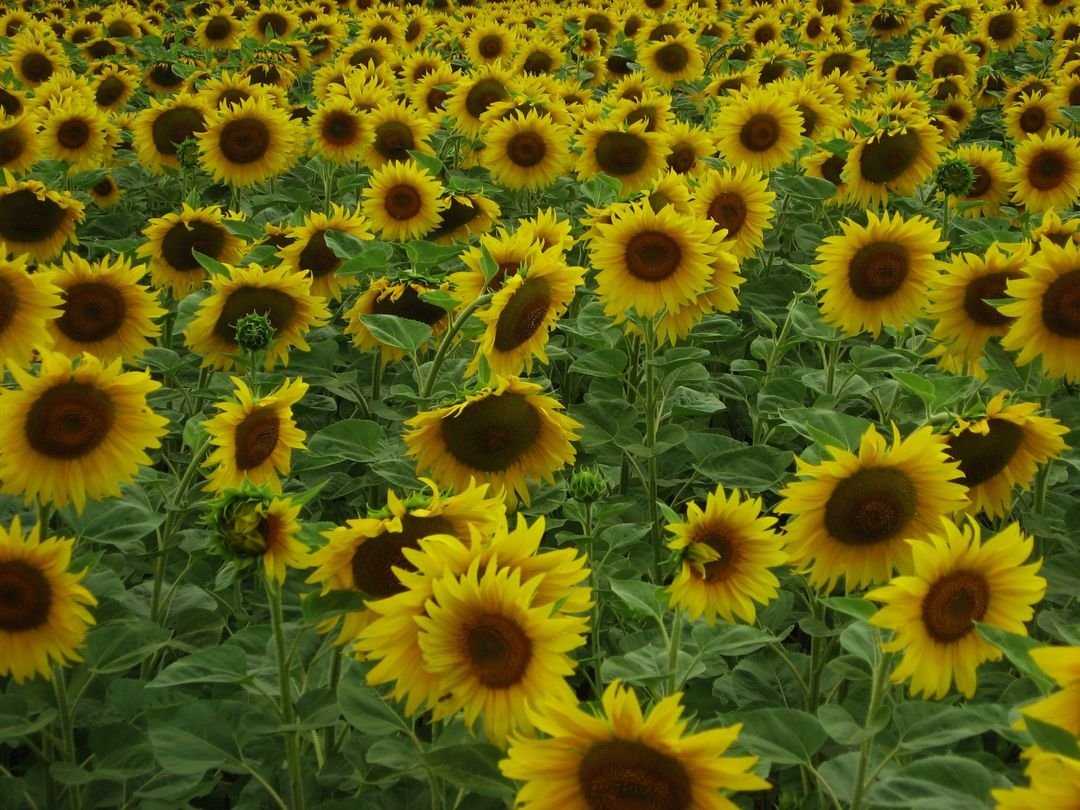 1375 доба активної фази 11-річної війни
🇺🇦 Слава Україні! Слава ЗСУ!
#СТОЇМО 
#ЗупинимоОкупантів 
#stoprussianhate