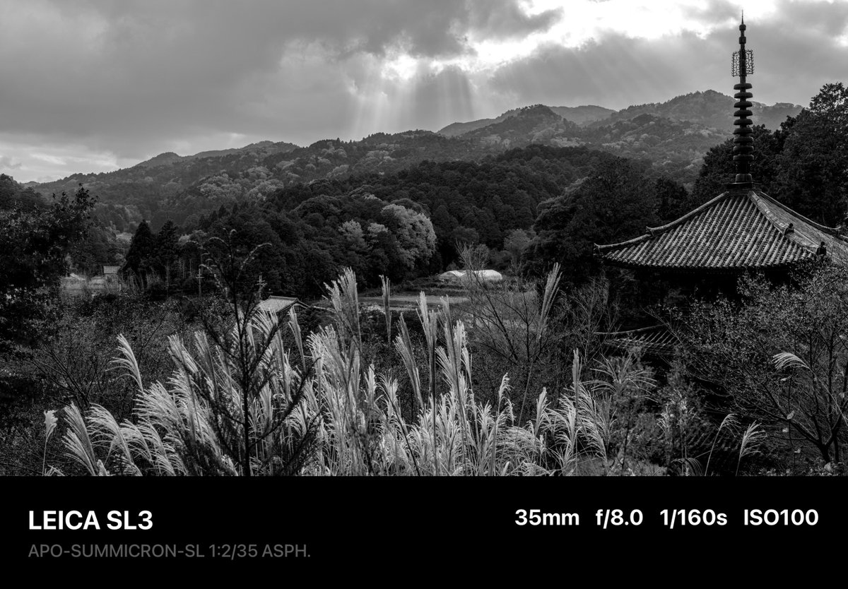 ごっさむ@ My funny Van allen 帯 (@pra2000) / Posts / X