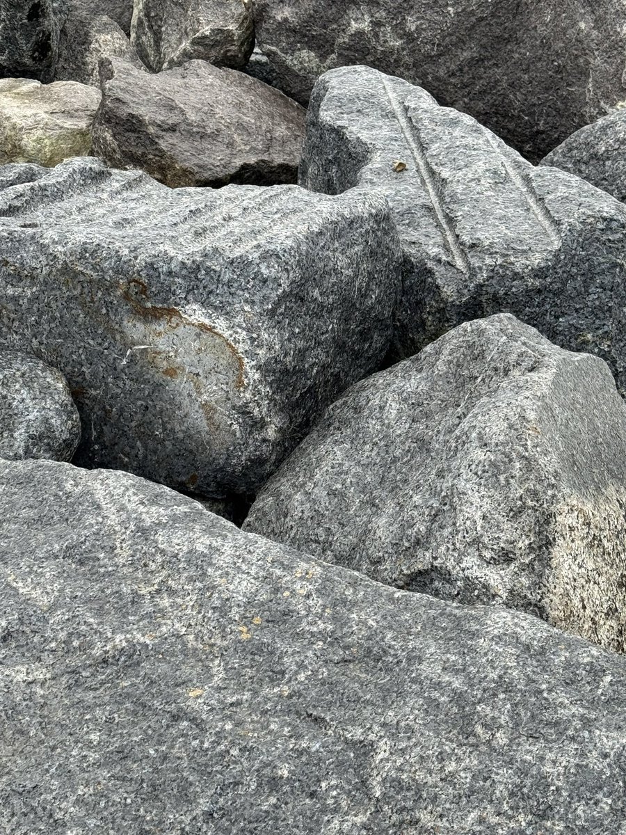 OllieGoddardGsy's tweet image. Might be pushing this a little!  

Aggregate 

#AlphabetChallenge 
#WeekVforVowels