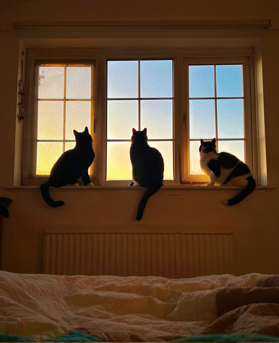 ParisZarcilla's tweet image. Every now and again I wake to a truly fine morning.