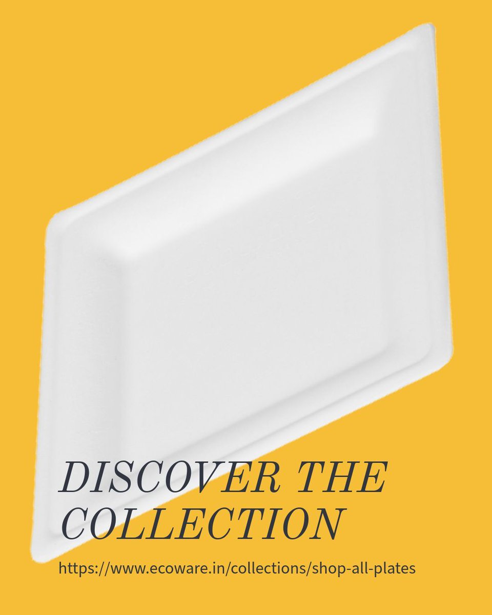ecowareindia's tweet image. Big meals, zero waste. Ecoware large plates offer ample space and planet-friendly convenience.

#eatbetter #ecowareindia #ecowaretableware #ecoware #food #foodpackaging #restaurant #takeaway #onlineshopping #delivery #catering #sustainability #sustainable #sustainableliving