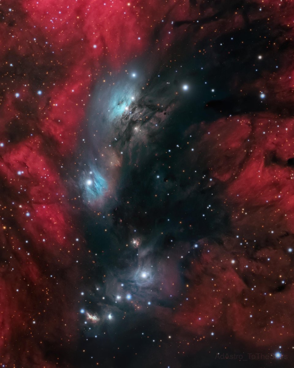 NGC6914
Photographer：©adastro_tothestars
--
🔭  Celestron EdgeHD 9.25"
📷  ZWO ASI2600MM Pro+CEM70EC
🟣Antlia LRGB filter 2"
🟣Antlia 3nm Narrowband H-alpha 2"
--
L：600×50″
RGB：3×600×30″
Hα：600×6″
Total：24h 20′
-
Astrobin：app.astrobin.com/i/ze9kgh
#astrophotography
#Antlia3nm