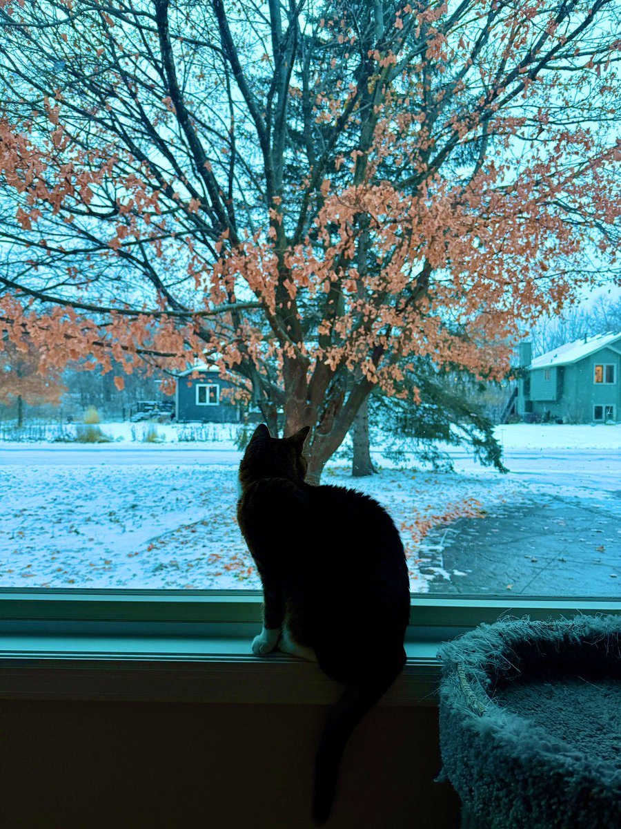 You were made perfectly to be loved.